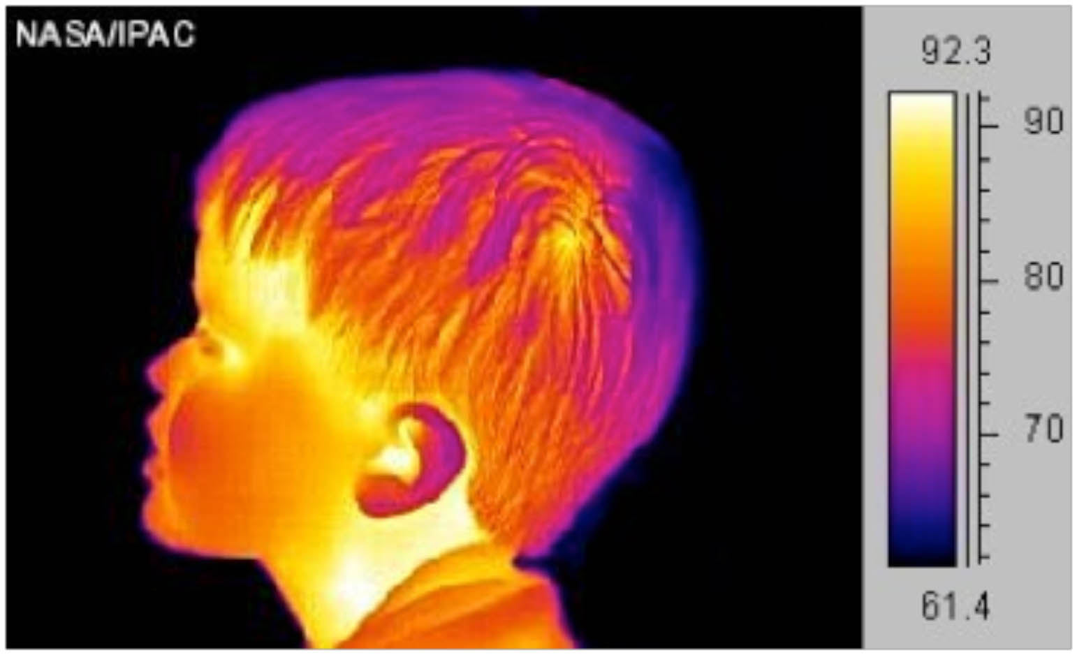 Photo of an Infrared Head